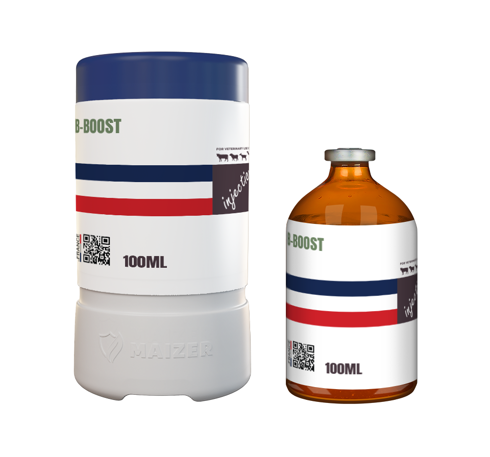 B-Boost