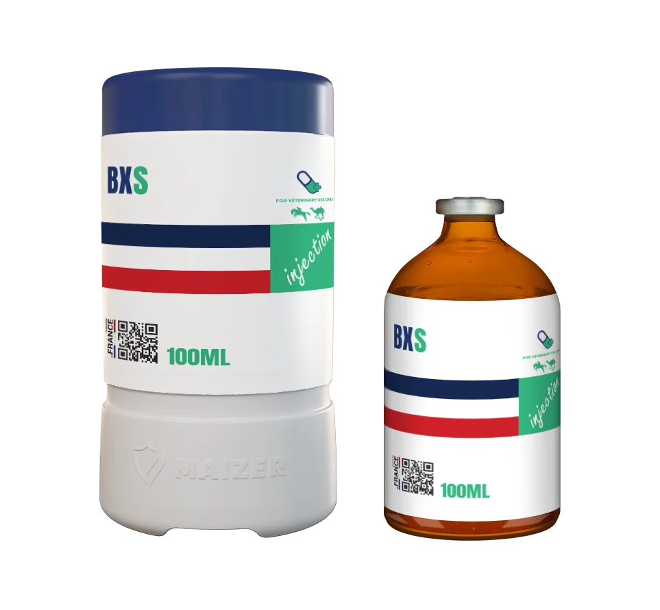 BXS