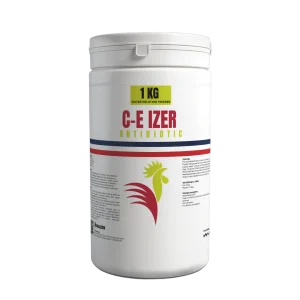 C-E IZER