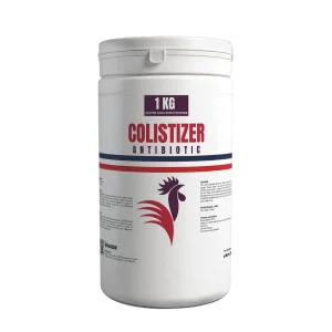 COLISTIZER