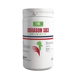 COXASON SB3