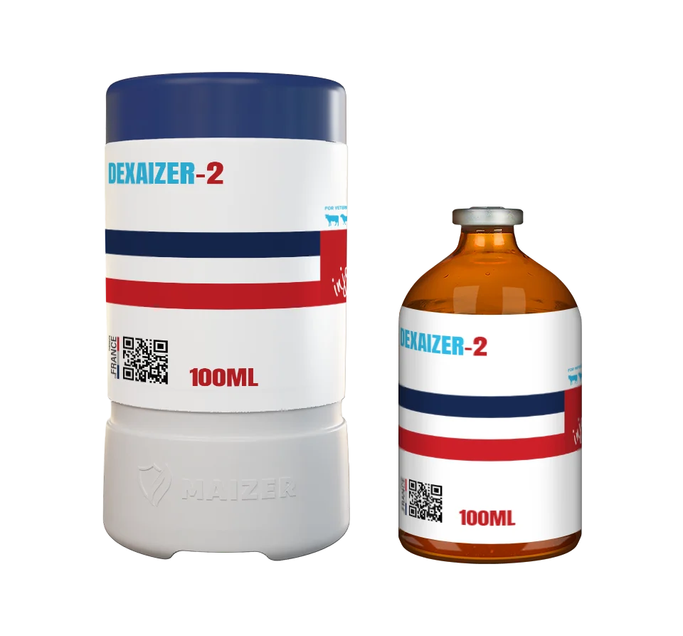 DEXAIZER-2