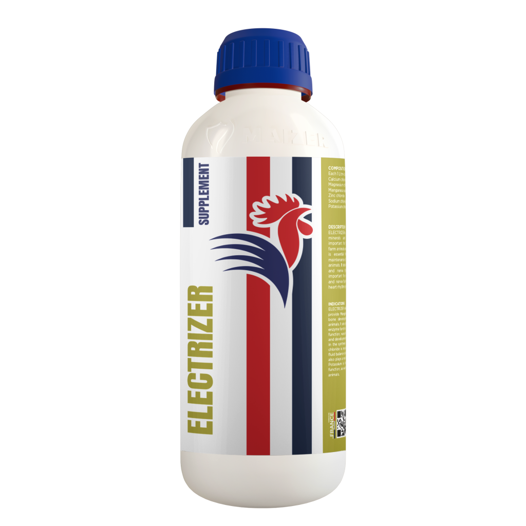ELECTRIZER