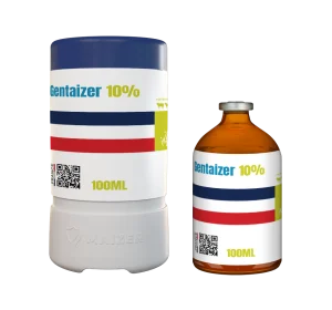 Gentaizer 10
