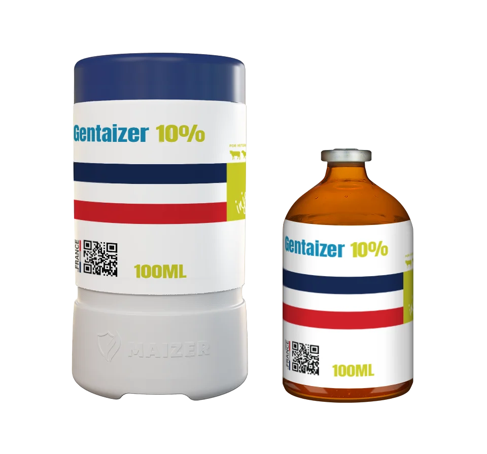 Gentaizer 10