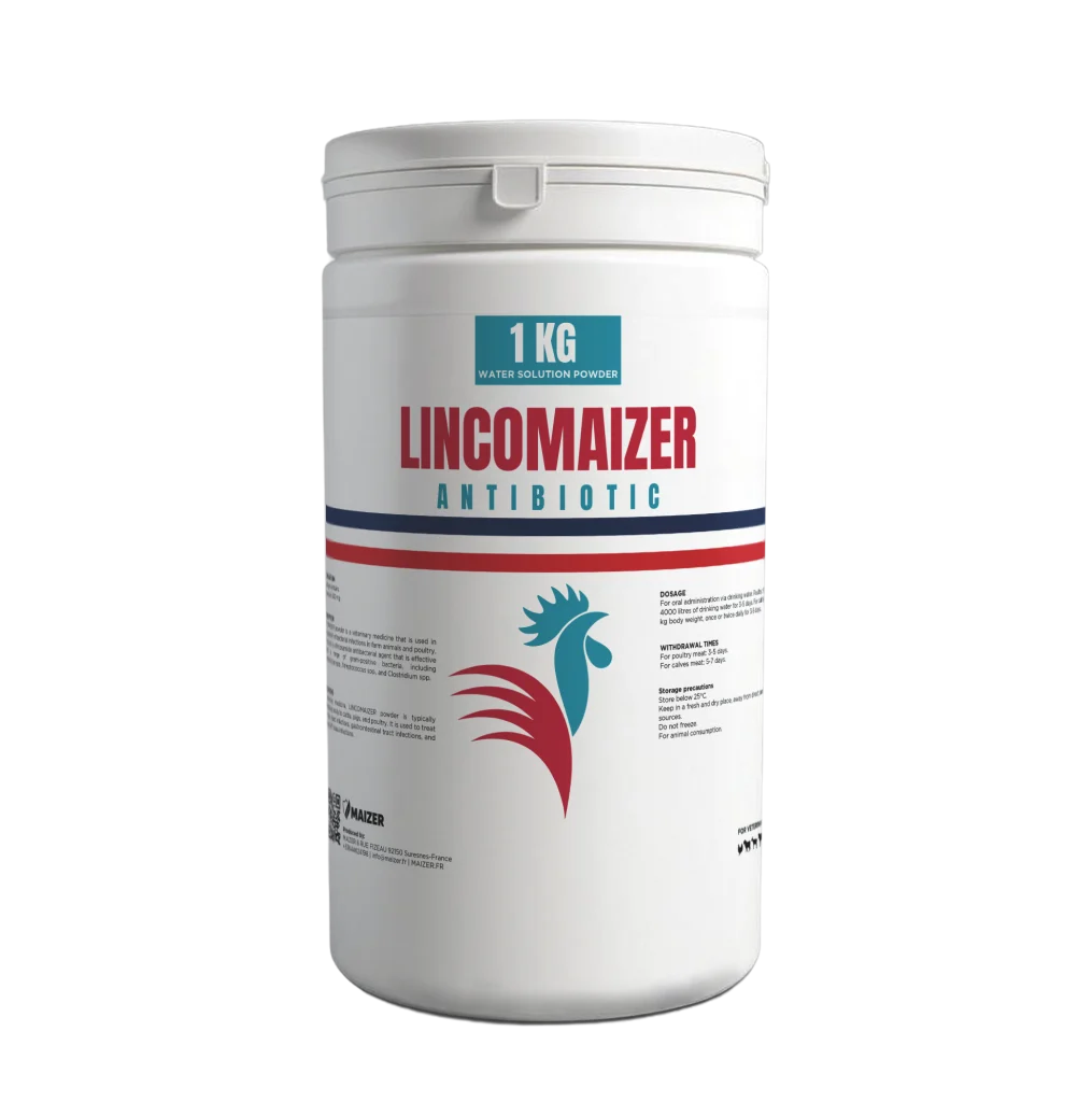 LINCOMAIZER