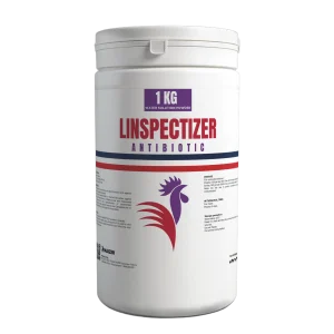 LINSPECTIZER