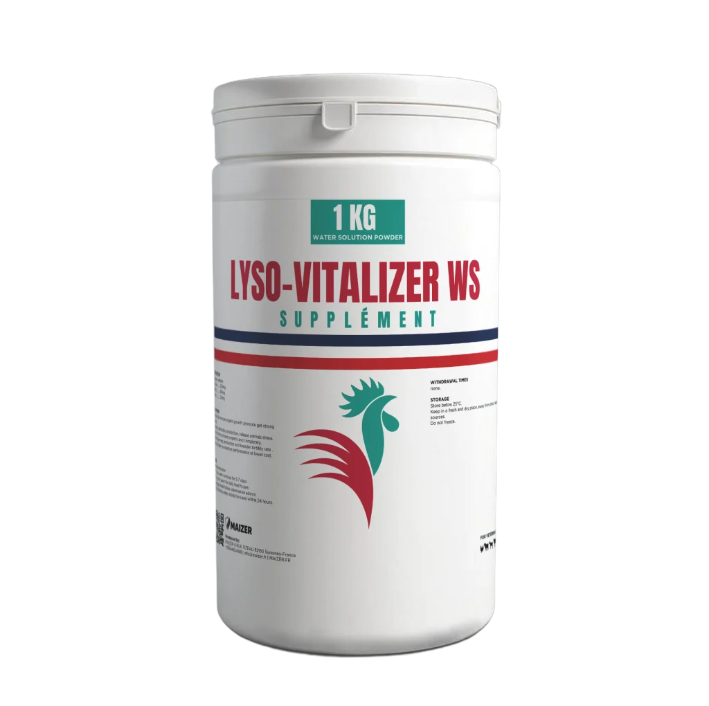 LYSO-VITALIZER WS