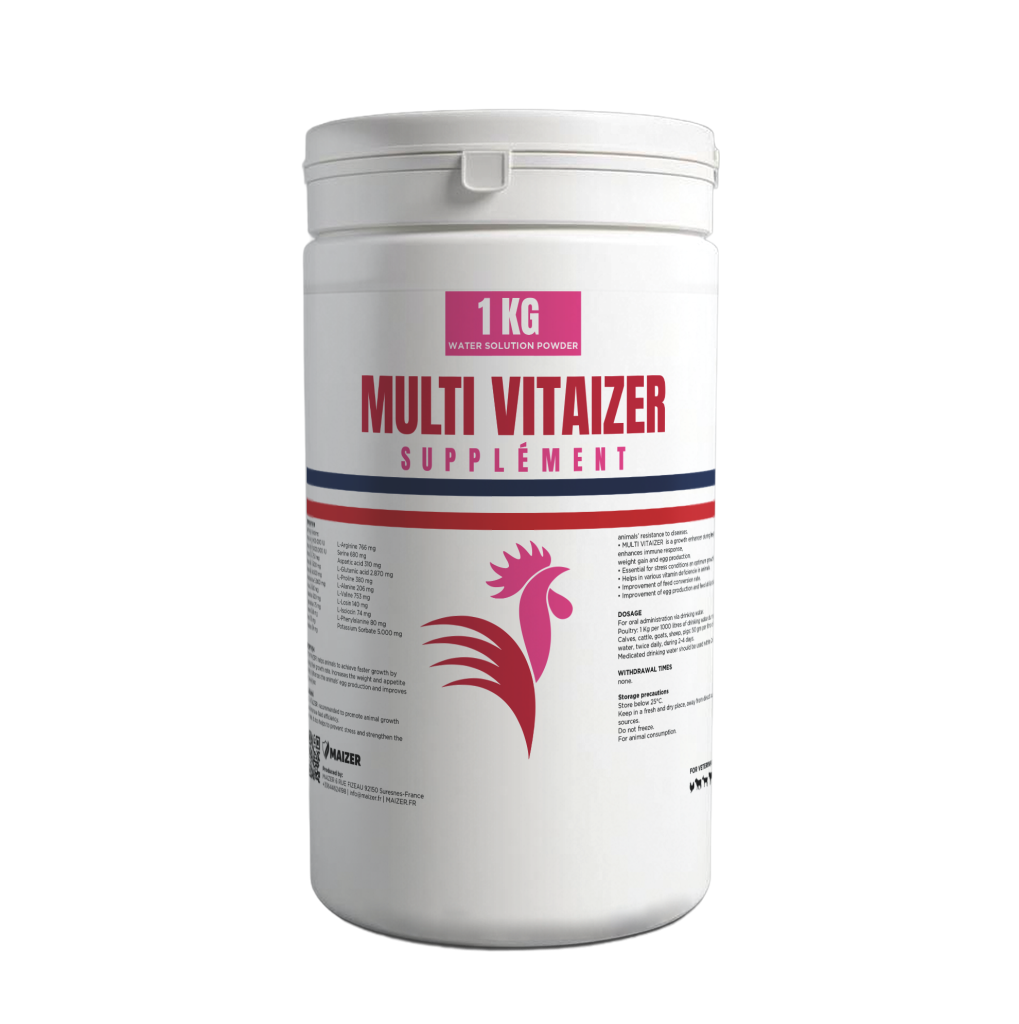 VITAIZER WSP