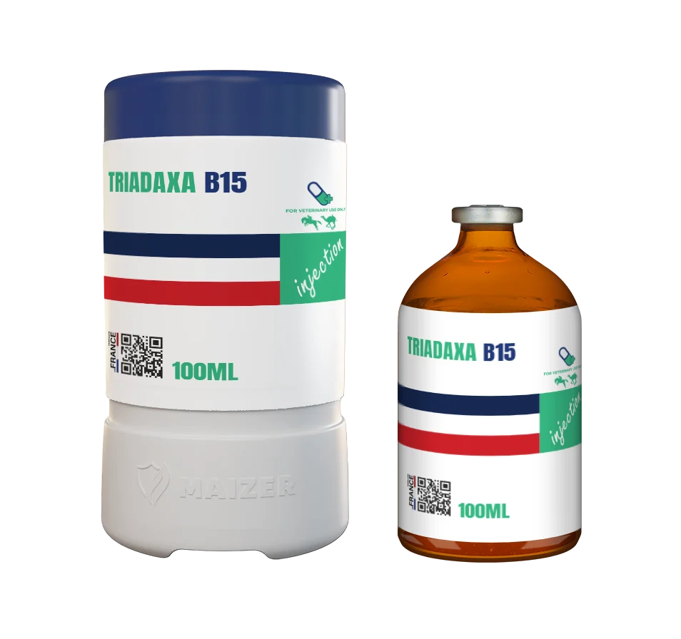Triadaxa B15
